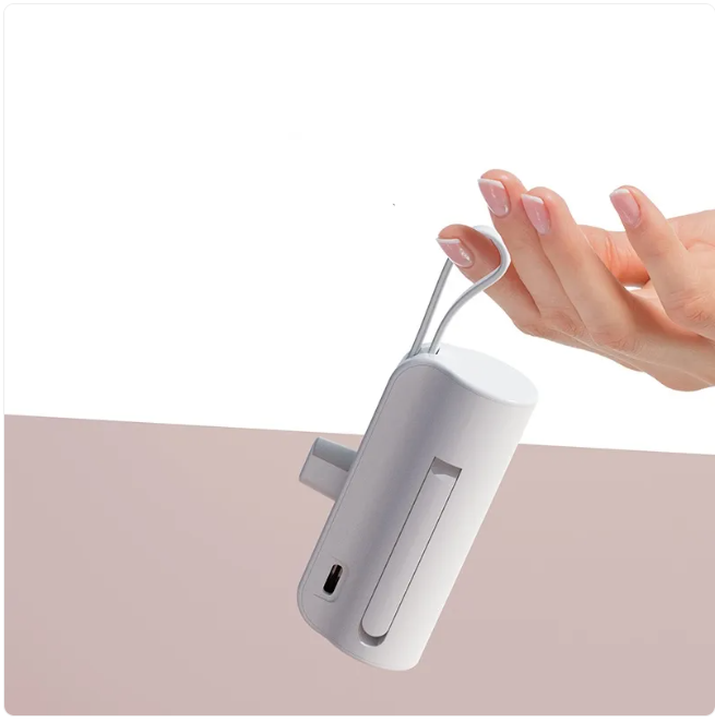 PowerCore Portable Charger