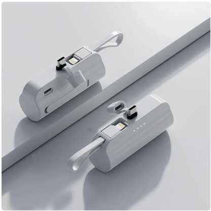 PowerCore Portable Charger